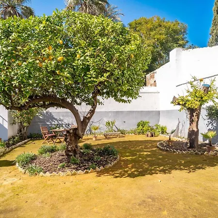 La Casa Del Limonero Penaflor